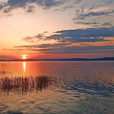 Sunshine 208 Apartman Балатонсарсо Екстериор снимка